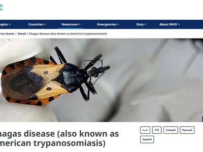 '키싱버그' 옮기는 중남미 풍토병 샤가스병, 감염 급증