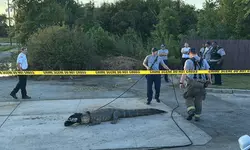 “배고파! 햄버거 좀…” 맥도널드에 악어 ‘어슬렁’