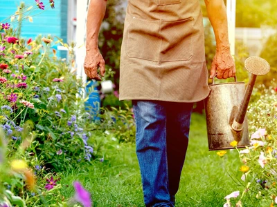 스스로 돌보는 ‘야생형 정원’…자연 생태계 본 따 설계