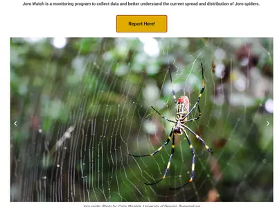 “확산일로 조로 거미…함께 대처해요”