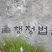 미국서 태어난 선천적 복수국적자라도… 한국 장기 거주시 ‘국적이탈’ 불허