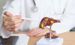 침묵의 장기 ‘간’… 수치 정상이라도, 안심 금물