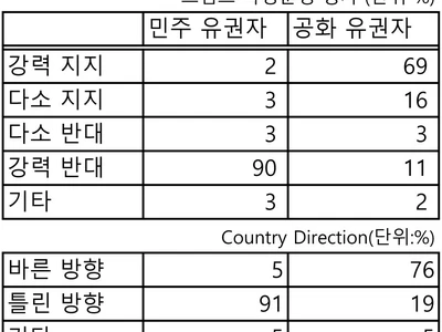 "조지아, 마치 다른 나라처렴 양극화"