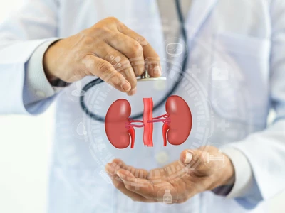 콩팥을 손상시키는 3대 원인?… 노화·당뇨병·고혈압