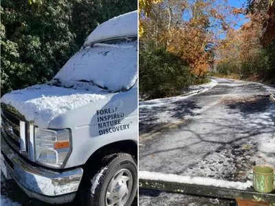 조지아 올겨울 첫눈 내렸다