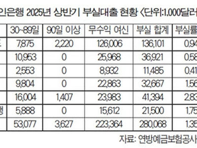 한인은행 부실대출 3억달러 육박… 전년비 34%↑