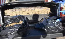 노크로스 창고서 대규모 마약 발견