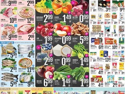 〈롯데마켓 세일 정보〉11월인데…먹음직한 점보 청포도 할인 세일