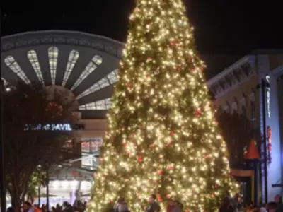 15일 조지아 몰 성탄절 트리 점등식