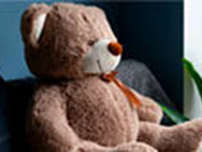 AI탑재 곰인형이 성관계·약물 대화까지?… 소비자단체 경고