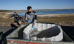 변종 조류독감 최초 감염자 사망…당국 "대중 위험 낮아"
