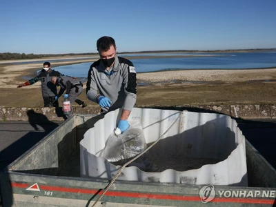 변종 조류독감 최초 감염자 사망…당국 "대중 위험 낮아"