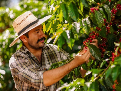브라질 농산물 관세 면제 커피 등 가격 인하 기대