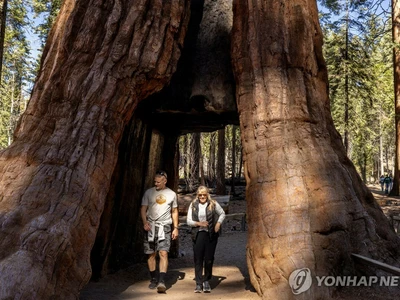 내년부터 국립공원 방문하는 외국인은 내국인보다 비싼 입장료