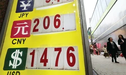 킹달러 ‘코리아 디스카운트’… 미주한인 방문 급증