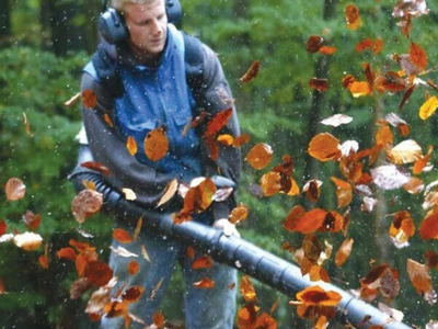 낙엽 청소엔 강력하지만… ‘송풍기 금지’ 갈등