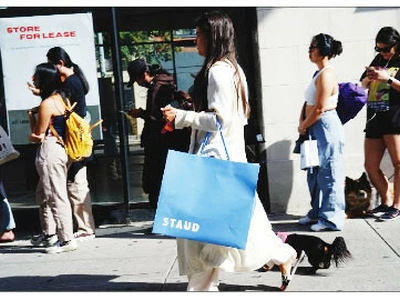 “일단 사고 보자’…‘BNPL〈선구매 후결제〉’ 급증에 부실 적신호