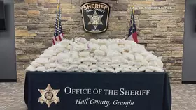 농산물 포장상자 속 2,200만달러 마약 적발