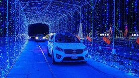 〈주말 가볼 만한 5가지 이벤트〉 '쿨레이 필드 조명 쇼'