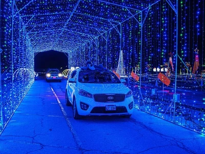 〈주말 가볼 만한 5가지 이벤트〉 '쿨레이 필드 조명 쇼'