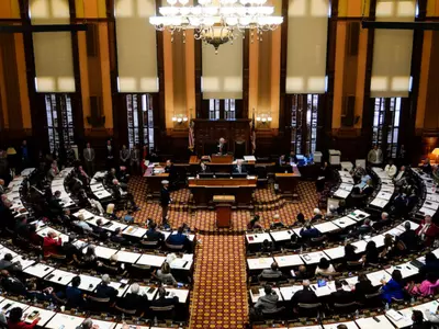 조지아 민주당”내년엔 우리가 다수당”