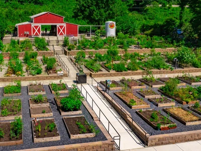 스와니 미국 꿀벌 도시 지정돼