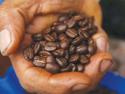 트럼프 관세 인하에도… 주요 식품 줄줄이 급등