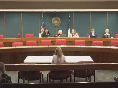 "조지아 아동복지 서비스 사실상 중단"