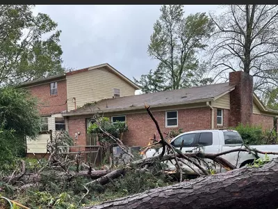 “보험료 제때 내라면서 보상은 왜 늦추나”