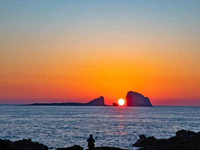 2026년 병오년 새해가 밝았습니다