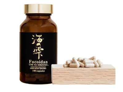 우미노 시즈쿠, '리미티드 에디션' 후코이단 출시