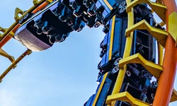 대학, 학업만 위한 곳 아냐… 클럽 통해 ‘취미 탐색·진로 모색’