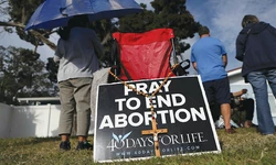 “낙태아를 담아 냉동고에… 태아 시신에 평생 상처”