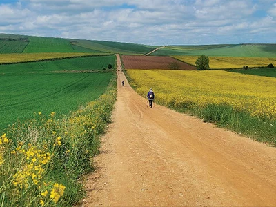 [사고] 성찰과 힐링… 산티아고 순례의 감동, 올해도 계속된다
