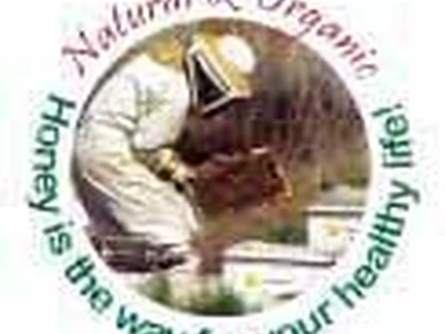 [허니웨이 건강 칼럼] 프로폴리스편 4회- “효과 있어요? 그냥 기분 탓 아닌가요?”