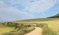 ‘죽기 전에 꼭 한번 걸어야 할 길’… 산티아고를 가다