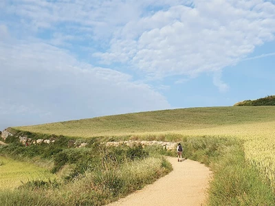 ‘죽기 전에 꼭 한번 걸어야 할 길’… 산티아고를 가다