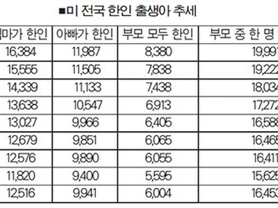 미주 한인 출생아수 다시 증가