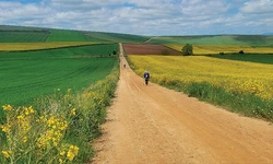 [사고] 성찰과 힐링… 산티아고 순례의 감동, 올해도 계속된다