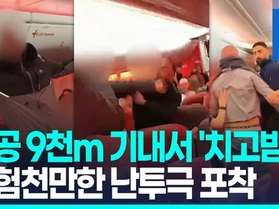 [영상] 상공 9천m 기내서 난투극 벌인 승객들…충격적인 순간 포착