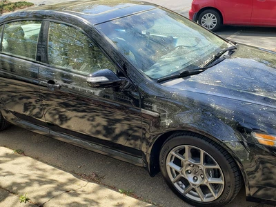 봄의 불청객 '꽃가루' 시즌 시작...3월 최고조