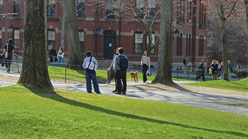 [집중진단/ 유학생들 한국 ‘유턴’ 실태] 고환율·비자 강화에 유학·취업 포기 줄잇는다
