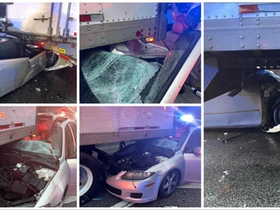 운전 중 휴대전화 보던 드라이버의 최후는