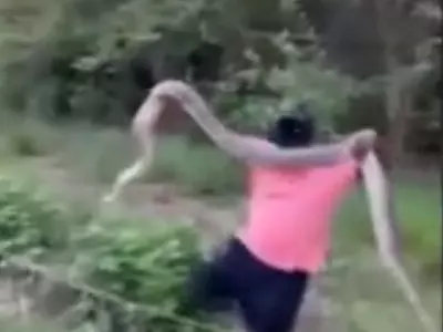 애틀랜타-콘다? 산책로서 10피트 뱀 '꿈틀'