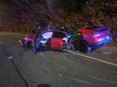 나무 들이받고 두 동강 난 포르쉐...운전자 멀쩡