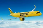 스피릿 항공 '404 데이' 항공권 40.40달러 판매