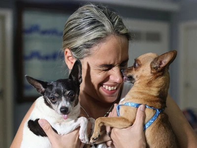 땡큐 AI!…실종 반려견 수색에도 첨단기술 활용