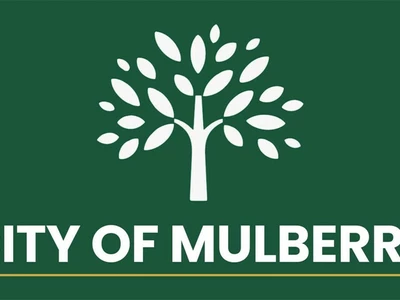 멀베리시, 귀넷과 소송 중에 시 헌장 수정키로