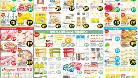 〈한인마트정보〉봄기운 담은 초록 한 입 봄동 비빔밥…한인마트 야채 코너