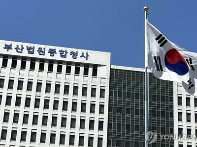 "나 미국사람이야" 체류연장 없이 버틴 교포 벌금 500만원